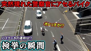 「え？オレっすか！？」突然目の前に飛び出して来た警察官に焦るバイク！する必要のまったくない謎違反、検挙の瞬間！！