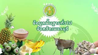 ข้อมูลพื้นฐานด้านการเกษตรจังหวัดเพชรบุรี