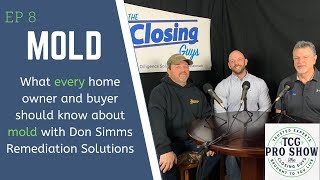 What Are The Best Conditions for Mold Growth in Your Home?