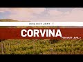 Grape Varieties - Corvina Intermediate Level ideal for WSET Level 2 Wine