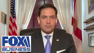 Rubio: US companies hypocrites for working with China