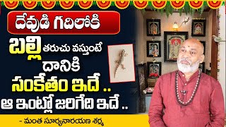 దేవుడి గ‌దిలోకి తరచుగా బల్లి వ‌స్తుందంటే..| Effects Of Lizards | Lizards In Home | Nanaji Patnaik |