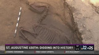 Entire horse skeleton found in archaeological dig