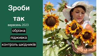 Підготовка до посадки рослин, обрізка перед зимою, контроль шкідників.