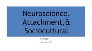 1.3 Neuroscience, Attachment, \u0026 Sociocultural