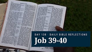 DAY 138 | Job 39-40 | The Bible in A Year