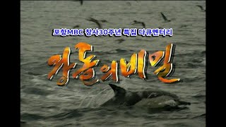 [다큐] 왕돌의 비밀