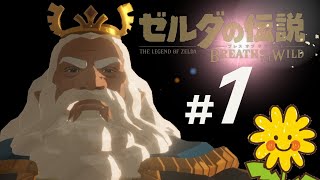 【ゼルダの伝説botw】 #01 始まりの台地（ストーリー補観用）