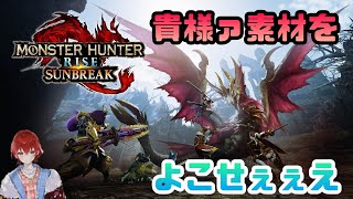 【MHRise モンスターハンター】ハンター紅咲ゆうたのモンハンライズ【Steam版】