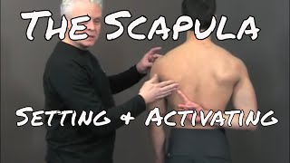 Setting and Activating the Scapula - Ask Dr. Abelson