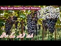 World Most beautiful Surah Rahman with Urdu translation full | one of the best Quran recitation |