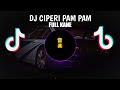 DJ CIPERI PAM PAM full kane| | dj yang kalian cari