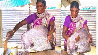 🐬🐳நம்ம அக்கா வாவல் மீன் வெட்டுர Style லே தனி..👍👍தான் போங்க ##SPEED THAVAMANI#Fish cutting skills#.