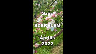 Szűz SZERELEM Április 2022