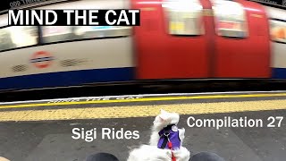 Sigi Rides Compilation 27