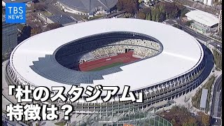 国立競技場初公開、｢杜のスタジアム｣の特徴は？