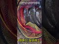 시민낚시아카데미 4짜붕어 갈증해소~