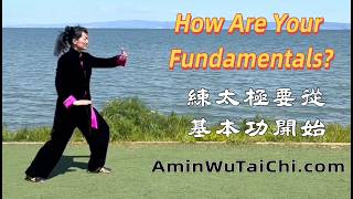 Yang-Style Fundamentals — The Foundation of Serious Practice | 楊式太極拳基本功 • 從這裡開始