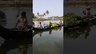 വേമ്പനാട്ട് കായലിലെ കാഴ്ചകൾ || vembanat backwater || boat marketing || Kerala || trending