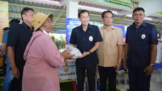 จังหวัดสุพรรณบุรีจัดโครงการคลินิกเกษตรเคลื่อนที่ในพระราชานุเคราะห์ ฯ ในพื้นที่อำเภอบางปลาม้า