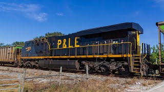 A P3 on CSX CM44AC 7422 and P\u0026LE Heritage Unit lead C04116 on the OUC Spur In Orlando