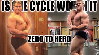 Is ONE Steroid Cycle Worth it ?