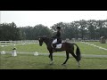 re live dressage part 1 fei eventing european championships for young riders 2019 maarsbergen