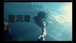 去龍洞尋找尼莫  | 東北角 | 龍洞灣 | 浮潛