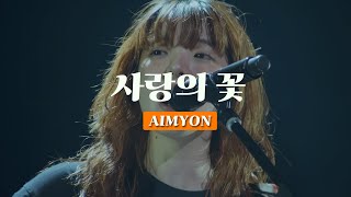 「AIMYON(あいみょん) - ai no hana(愛の花)🌸 Live 4K」 Korean lyrics