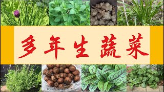 多年生蔬菜 (Perennial Vegetables)