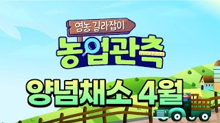 영농길라잡이 농업관측 (양념채소 4월호)