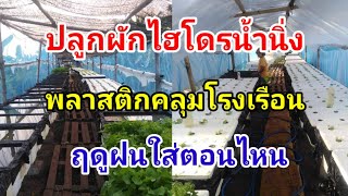 พลาสติกคลุมโรงเรือนปลูกผักสลัด Hydroponics/#บ้านสวนกิตติธรา #ผักสลัด