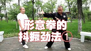 形意拳的抖撅劲，中国传统武术形意拳Chinese martial arts Xingyi boxing