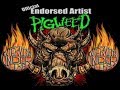 Pigweed - Interview Under Fire