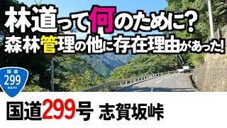 【5雑学まとめ】国道299号線(3)志賀坂峠編・林道は何のために存在するのか？日本に「まもの村」がある。サンチュウ龍って何？