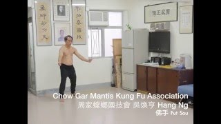 Hang Ng 佛手 Fut Sou Chow Gar Mantis Kung Fu Association 周家螳螂國技會