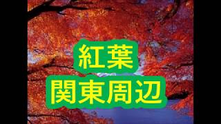 関東周辺紅葉