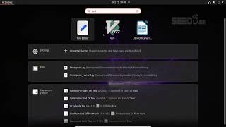 Lab07 SEED 2.0 Buffer-Overflow Attack Lab (Server Version) Part II