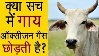 गौ रक्षा हमारा परम धर्म| ||Kya Aap Jante hain|| गाय हमारी राष्ट्र माता है! ||GOD AND SUCCESS||