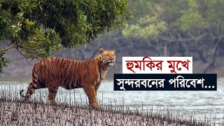 হুমকির মুখে সুন্দরবনের পরিবেশ | Sundarban | Forest | PowerPlant | Pollution | Environment