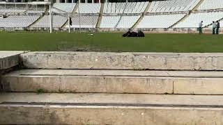 Estadio Nacional, Lisbon 🇵🇹 @CelticFC