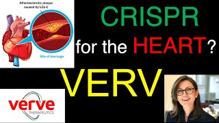 CRISPR for the HEART? Why VERVE Therapeutics’ Cardiovascular Plan can be MASSIVE & LIFE-SAVING?!!