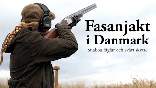 Jaktresan: Fasanjakt i Danmark