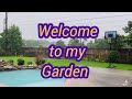 Welcome to my Garden | ASRM | Garden Tour | Kaushi's Kitchen