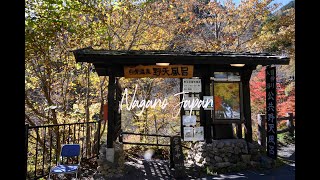 Shirahone Onsen Public Open-air Bath)　Nagano Japan　長野 白骨温泉公共野天風呂4K