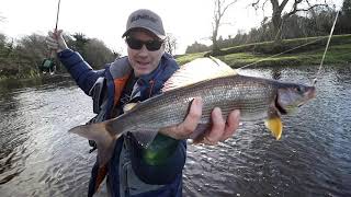 Czech nymphing for Grayling French Leader ZERO weight | Grayling fishing