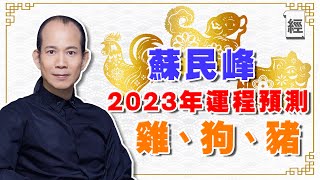 蘇民峰2023年生肖運程附字幕（雞、狗、豬篇）屬雞沖太歲化解方法 屬狗人緣財運好 屬豬要親力親為 ｜十二生肖｜兔年運程