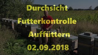 Durchsicht Futterkontrolle und Auffüttern 02.09.2018 *4K*