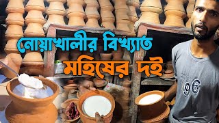 নোয়াখালীর বিখ্যাত মহিষের দই | Maijdee Court, Noakhali, Bangladesh.