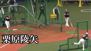 【SB 栗原陵矢 試合前バッティング練習】